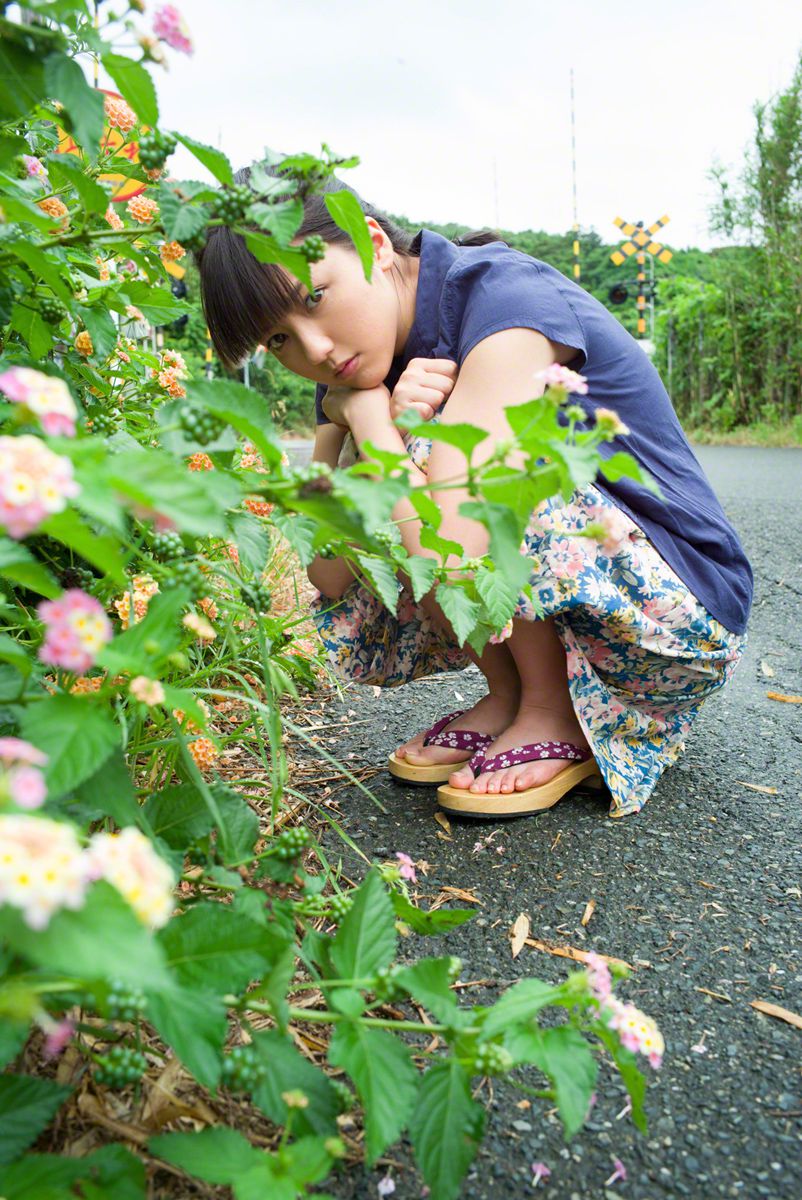 荒野蝴蝶